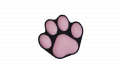 A Black and Pink Cat's Paw